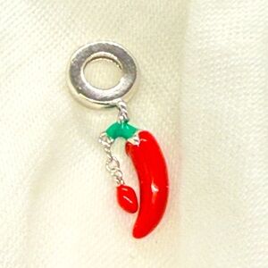 Red Chili Pepper Bracelet Charm Pendant